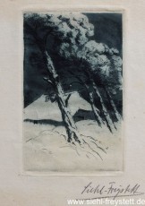 WV-Nr. 088, Unbekannter Ort, Winter, 1900-1919, Radierung, 6,5 cm x 10,5 cm, Privatbesitz