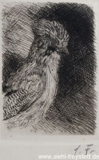 WV-Nr. 097, Eichelhäher, 1900-1919, Radierung, 7,5 cm x 14 cm, Privatbesitz