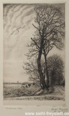 WV-Nr. 123, Unbekannter Ort, Eschen am Wege, 1900-1919, Radierung, 12,5 cm x 20 cm, Privatbesitz
