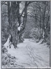 WV-Nr. 132, Unbekannter Ort, Im Wald, 1900-1919, Lithographie, 34 cm x 46 cm, Privatbesitz