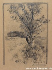 WV-Nr. 222, Halsbeck, Birke am Feldrand, 1911, Bleistift auf Papier, 29 cm x 36 cm, Privatbesitz