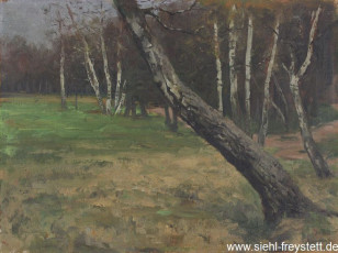 WV-Nr. 010, Unbekannter Ort, Landschaft mit Birken, 1900-1919, Öl auf Karton, 44,4 cm x 33 cm, Privatbesitz