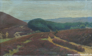 WV-Nr. 014, Unbekannter Ort, Heidelandschaft, 1910er, Öl auf Leinwand, 48,5 cm x 29,5 cm, Privatbesitz
