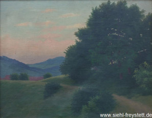 WV-Nr. 016, Unbekannter Ort, Bergige Landschaft, 1900-1919, Öl auf Leinwand, 56,7 cm x 45,2 cm, Privatbesitz