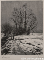 WV-Nr. 034, Unbekannter Ort, Wiesenpfad, 1900-1919, Radierung, 12,2 cm x 16 cm, Privatbesitz