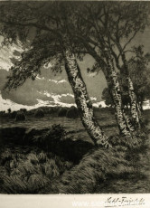 WV-Nr. 063, Unbekannter Ort, Birken am Feld, 1900-1919, Radierung, 21 cm x 27 cm, Privatbesitz