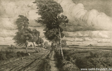 WV-Nr. 068, Unbekanter Ort, Birkenallee, Radierung, 1900-1919, 78,5 cm x 50 cm, Privatbesitz