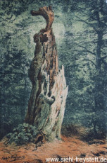 WV-Nr. 077, Unbekannter Ort, Urwald, 1900-1919, Lithographie, 22,5 cm x 33,8 cm, Privatbesitz
