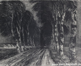 WV-Nr. 087, Unbekannter Ort, Birkenallee, 1890-1919, Lithographie, 28 cm x 23 cm, Privatbesitz