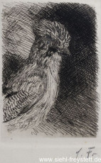 WV-Nr. 097, Eichelhäher, 1900-1919, Radierung, 7,5 cm x 14 cm, Privatbesitz