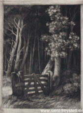 WV-Nr. 098, Wilhelmshaven, Am Stadtpark, 1890-1919, Lithographie, 15,6 cm x 21,5 cm, Privatbesitz