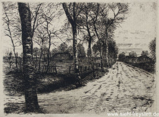 WV-Nr. 101, Unbekannter Ort, Weg mit Birken, 1900-1919, Radierung, 15 cm x 11 cm, Privatbesitz