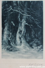 WV-Nr. 102, Unbekannter Ort, Alter Baum, 1900-1919, Radierung, 12,8 cm x 21 cm, Privatbesitz