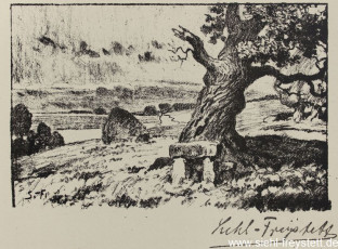 WV-Nr. 114, Bremervörde, Alter Baum, 1900-1919, Lithographie, 14,2 cm x 9,5 cm, Privatbesitz