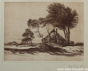 WV-Nr. 118, Unbekannter Ort, Einsames Hause, 1900-1919, Radierung, 23,7 cm x 17,4 cm, Privatbesitz