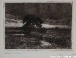 WV-Nr. 120, Unbekannter Ort, Abend im Moor, 1900-1919, Radierung, 13 cm x 9 cm, Privatbesitz