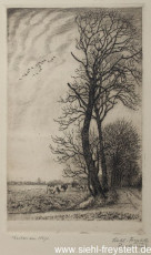 WV-Nr. 123, Unbekannter Ort, Eschen am Wege, 1900-1919, Radierung, 12,5 cm x 20 cm, Privatbesitz