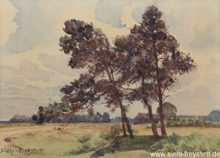 WV-Nr. 124, Unbekannter Ort, Landschaft mit Bäumen, 1900-1919, Aquarell, 26,5 cm x 18,5 cm, Privatbesitz