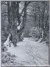 WV-Nr. 132, Unbekannter Ort, Im Wald, 1900-1919, Lithographie, 34 cm x 46 cm, Privatbesitz