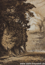WV-Nr. 225, Unbekannter Ort, Weiden an der Graft, Lithographie, 1890-1919, 16 cm x 23 cm, Privatbesitz