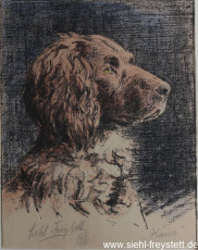 WV-Nr. 254, Siehls Hund 'Hans', 1916, Lithographie, 13,2 cm x 17 cm, Privatbesitz