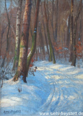 WV-Nr. 258, Unbekannter Ort, Verschneiter Wald, 1900-1919, Öl auf Leinwand, 35 cm x 47,2 cm, Privatbesitz