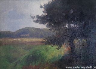 WV-Nr. 263, Unbekannter Ort, Landschaft mit Bäumen im Vordergrund, 1900-1919, Öl auf Leinwand, Privatbesitz