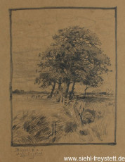 WV-Nr. 275, Büppel, Landstrich, 1910, Bleistift auf Papier, 33 cm x 41 cm, Privatbesitz
