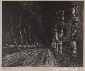 WV-Nr. 285, Unbekannter Ort, Sturmabend, 1900-1919, Lithographie, 28,5 cm x 26 cm, Privatbesitz