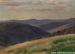 WV-Nr. 294, Unbekannter Ort, Bergige Landschaft, 1900-1919, Öl auf Leinwand, 44 cm x 32 cm, Privatbesitz