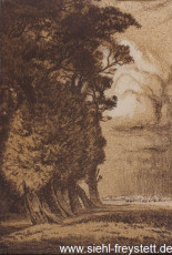 WV-Nr. 314, Unbekannter Ort, Weiden an der Graft, 1900-1919, Lithographie, 15,5 cm x 23 cm, Gemäldesammlung Stadt Wilhelmshaven