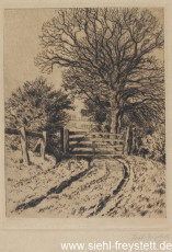 WV-Nr. 213, Unbekannter Ort, Heck mit Baum, 1917, Radierung, 14 cm x 18,2 cm, Privatbesitz