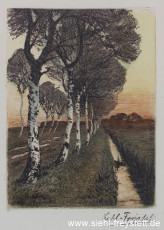 WV-Nr. 314, Unbekannter Ort, Birken am Graben, 1900-1919, Radierung, 15 cm x 20 cm, Privatbesitz