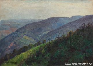 WV-Nr. 383, Unbekannter Ort, Morgen in den Bergen, 1900-1919, Öl auf Leinwand, 64,5 cm x 47 cm, Privatbesitz