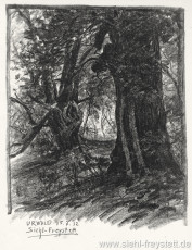 WV-Nr. 415, Neuenburg, Urwald, 1912, Kohle auf Papier, Privatbesitz