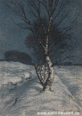 WV-Nr. 421, Unbekanter Ort, Birken im Schnee, 1910-1919, Lithographie, 28 cm x 38,5 cm, Privatbesitz